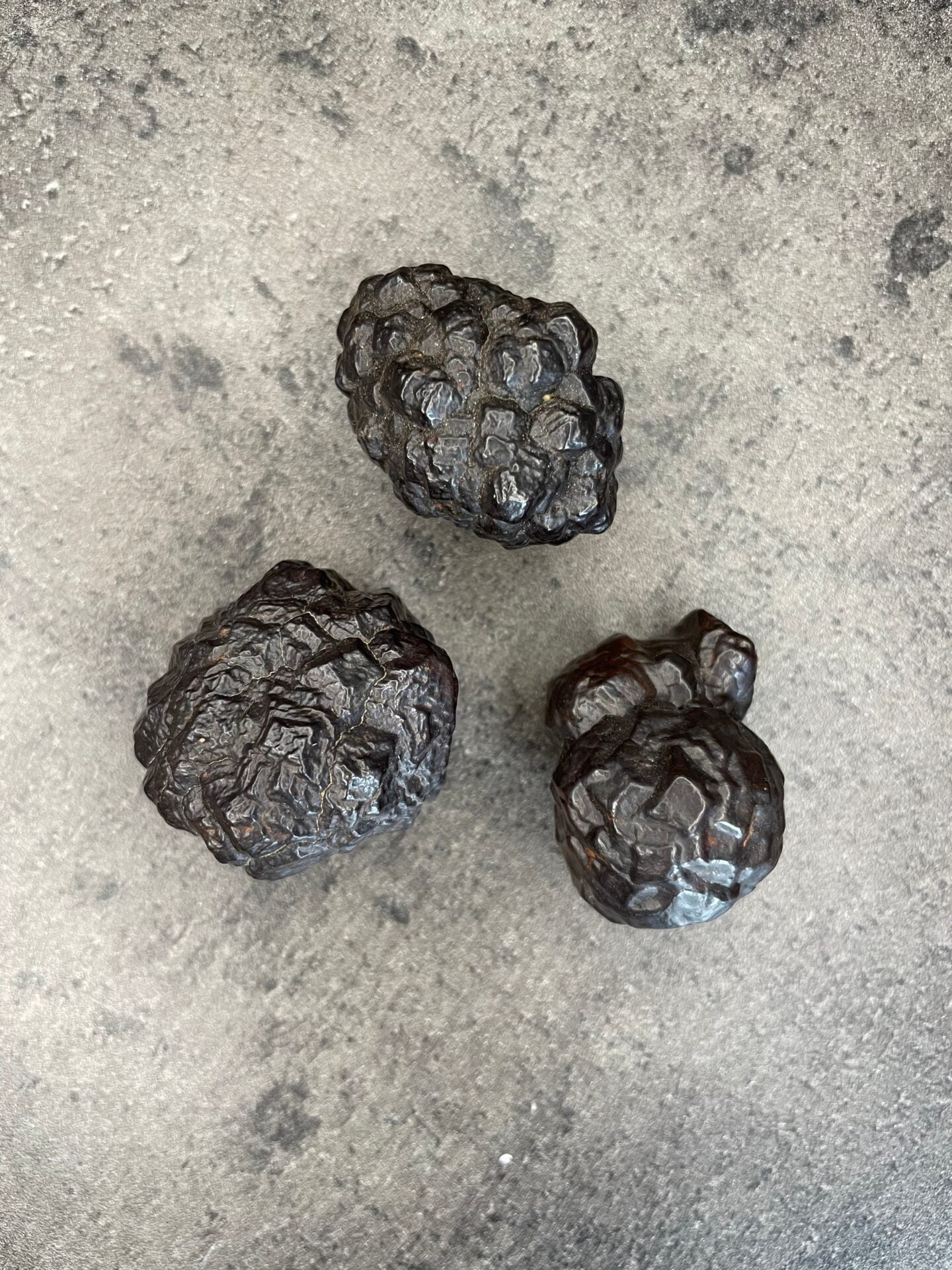 Prophecy stone - Specimen