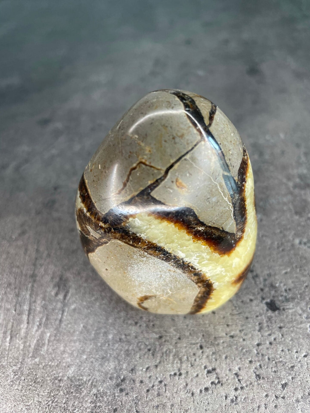 Septarian - Free form