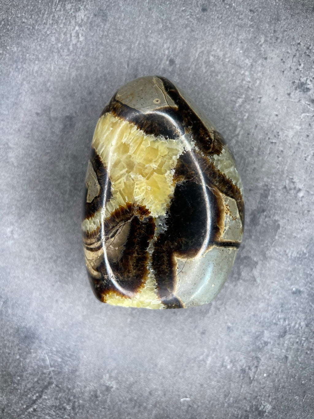 Septarian - Free form