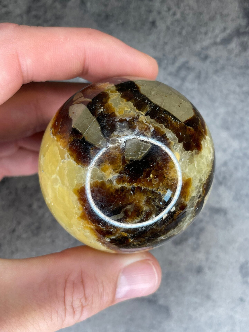 Septarian - Large sphere