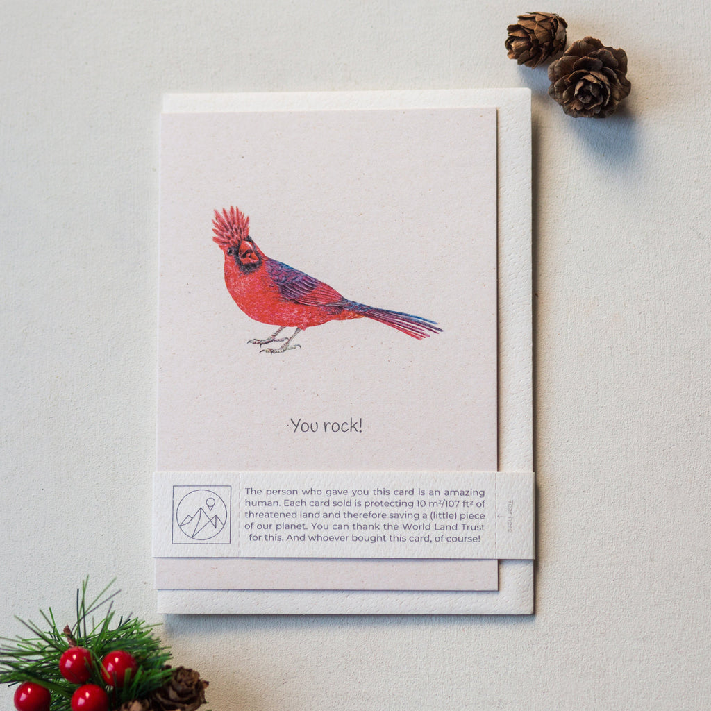 Animal Lover Charity Greeting Card Cardinal 'You rock!' card