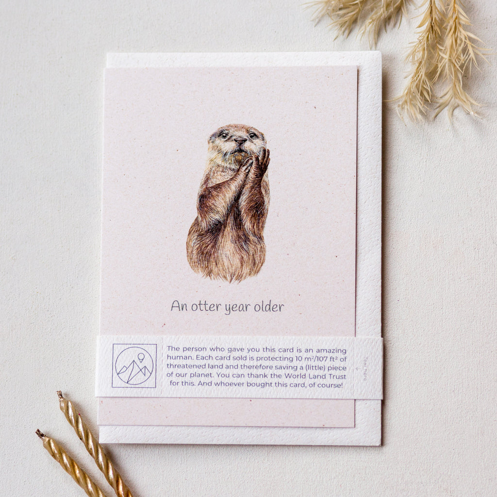 Animal Lover Charity Greeting Card Otter 'An otter year older' birthday card