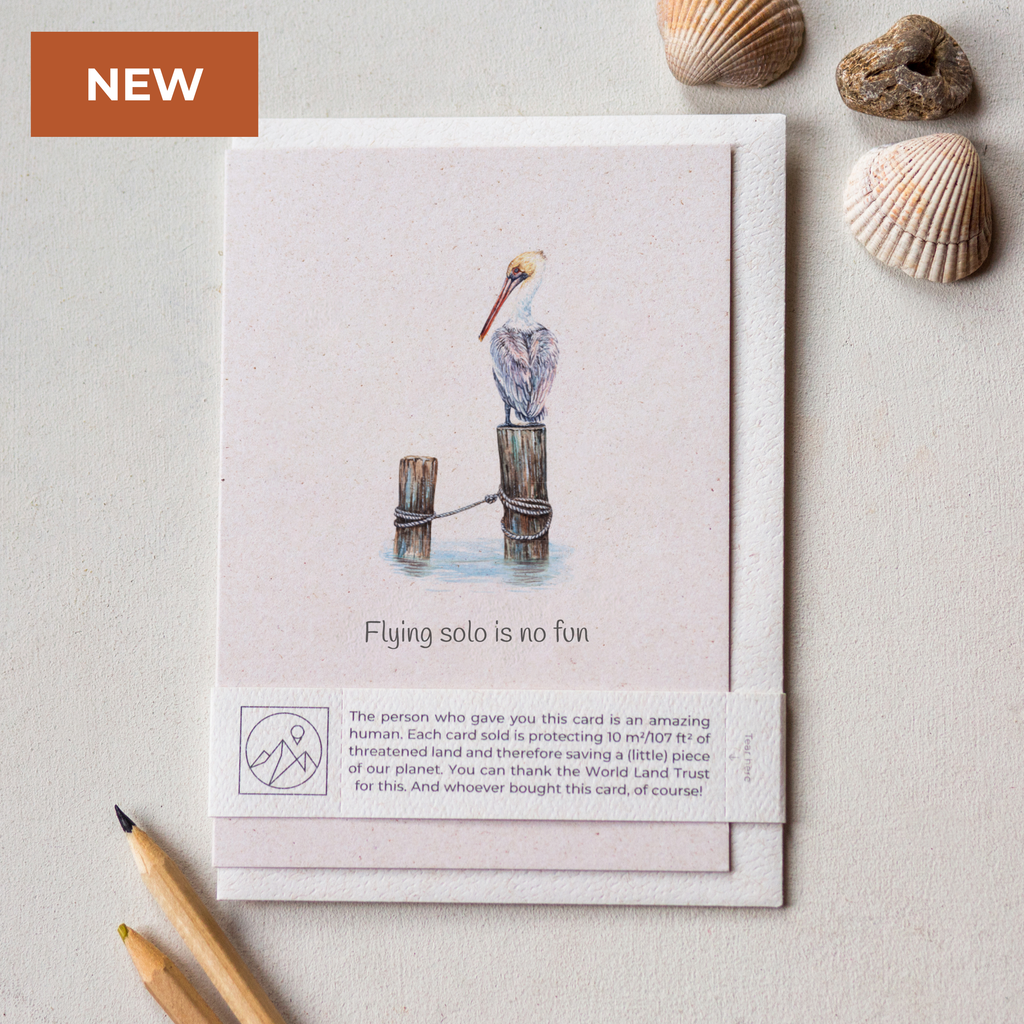 Animal Lover Charity Greeting Card Pelican 'Flying solo is no fun' card