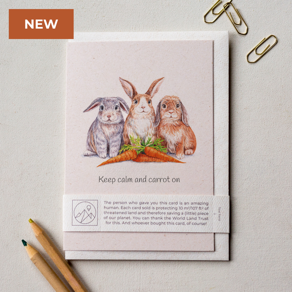 Animal Lover Charity Greeting Card Rabbits 'Keep calm and carrot on' card