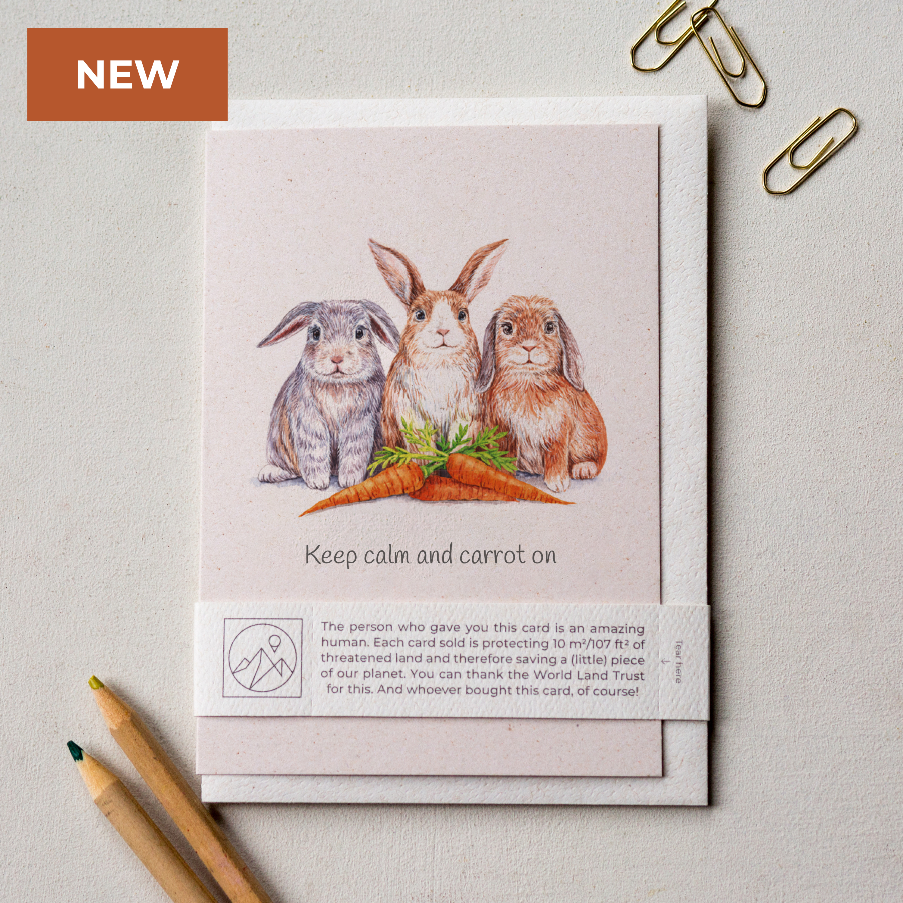Animal Lover Charity Greeting Card