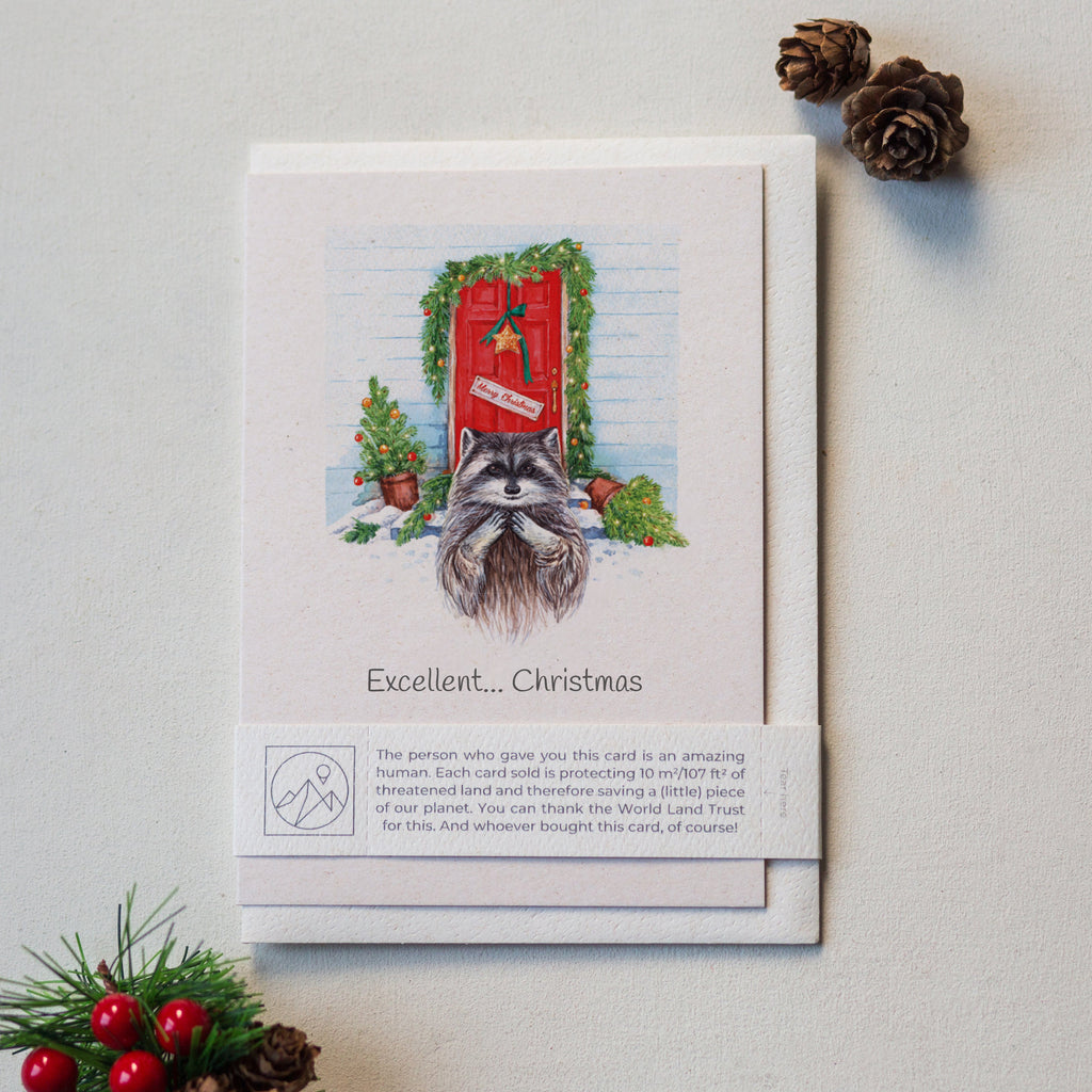 Animal Lover Charity Greeting Card Funny Raccoon Christmas card