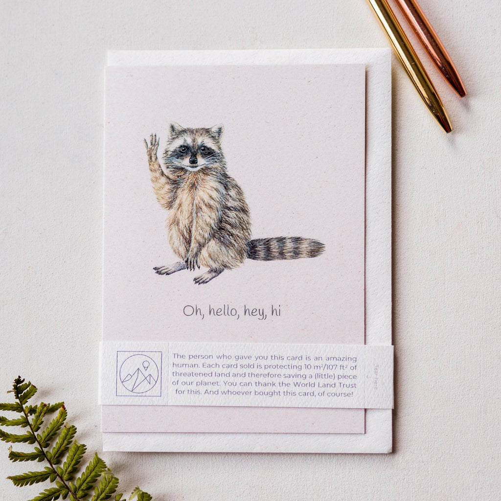 Animal Lover Charity Greeting Card Raccoon 'Oh, hello, hey, hi' card