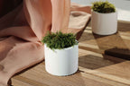 WHITE CONCRETE CYLINDER TEALIGHT HOLDER, CONCRETE CYLINDER POT