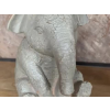 Sitting Elephant
