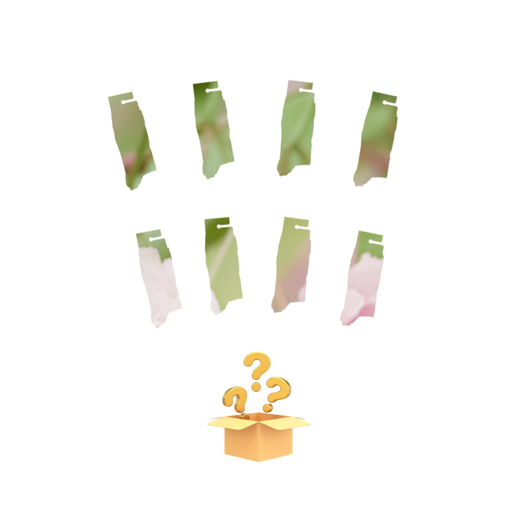 Winter Mystery Bundle of 8!