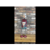 Tall Metal Robot